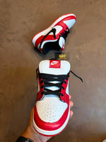 TENIS DUNK LOW