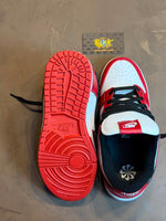TENIS DUNK LOW